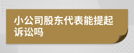 小公司股东代表能提起诉讼吗