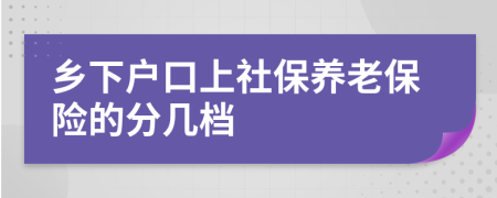 乡下户口上社保养老保险的分几档