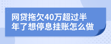 网贷拖欠40万超过半年了想停息挂账怎么做