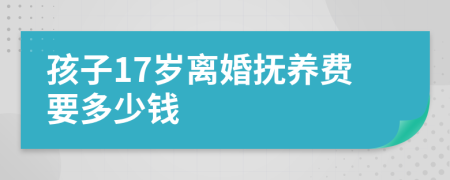 孩子17岁离婚抚养费要多少钱