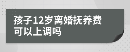 孩子12岁离婚抚养费可以上调吗