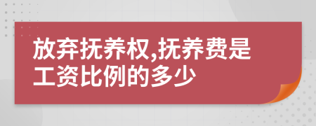 放弃抚养权,抚养费是工资比例的多少