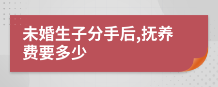 未婚生子分手后,抚养费要多少