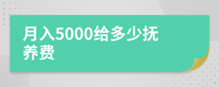 月入5000给多少抚养费