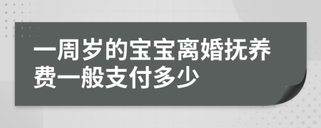 一周岁的宝宝离婚抚养费一般支付多少