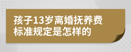 孩子13岁离婚抚养费标准规定是怎样的