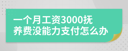 一个月工资3000抚养费没能力支付怎么办