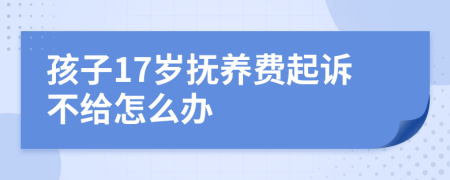 孩子17岁抚养费起诉不给怎么办