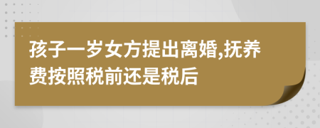 孩子一岁女方提出离婚,抚养费按照税前还是税后