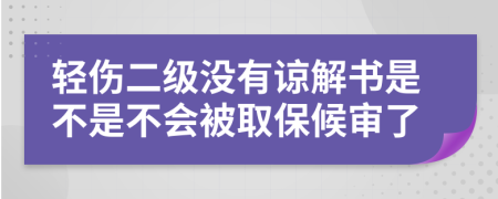 轻伤二级没有谅解书是不是不会被取保候审了