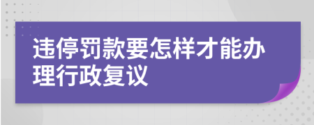 违停罚款要怎样才能办理行政复议