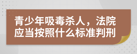 青少年吸毒杀人，法院应当按照什么标准判刑