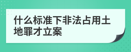 什么标准下非法占用土地罪才立案