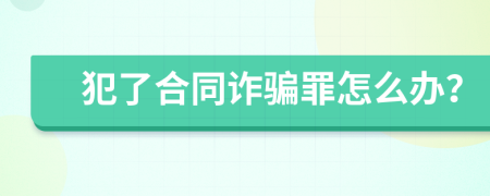 犯了合同诈骗罪怎么办？