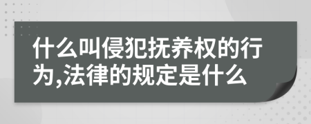 什么叫侵犯抚养权的行为,法律的规定是什么