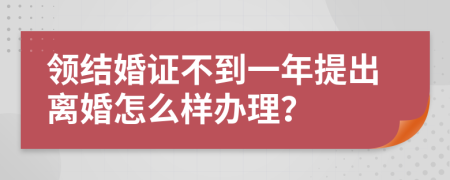 领结婚证不到一年提出离婚怎么样办理？