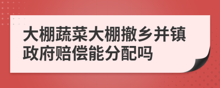 大棚蔬菜大棚撤乡并镇政府赔偿能分配吗