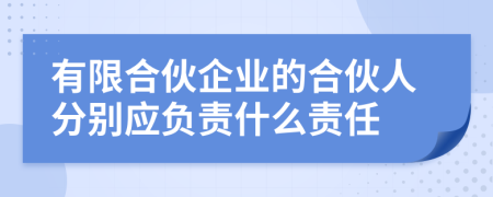 有限合伙企业的合伙人分别应负责什么责任