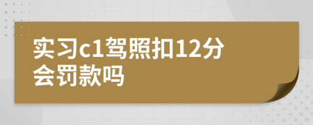 实习c1驾照扣12分会罚款吗