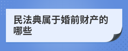 民法典属于婚前财产的哪些