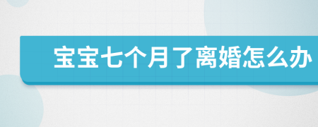 宝宝七个月了离婚怎么办