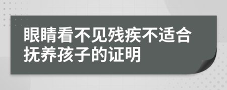 眼睛看不见残疾不适合抚养孩子的证明