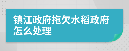 镇江政府拖欠水稻政府怎么处理