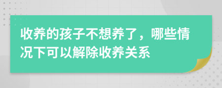 收养的孩子不想养了，哪些情况下可以解除收养关系