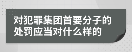 对犯罪集团首要分子的处罚应当对什么样的