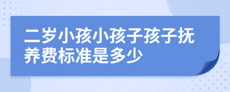 二岁小孩小孩子孩子抚养费标准是多少
