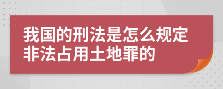 我国的刑法是怎么规定非法占用土地罪的