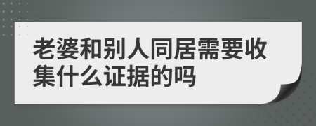 老婆和别人同居需要收集什么证据的吗