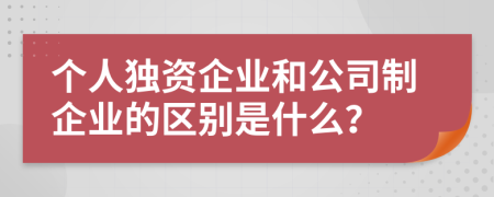 个人独资企业和公司制企业的区别是什么？