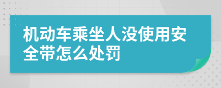 机动车乘坐人没使用安全带怎么处罚