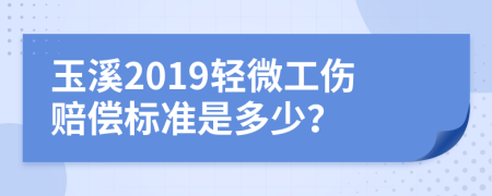 玉溪2019轻微工伤赔偿标准是多少？