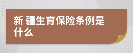 新 疆生育保险条例是什么