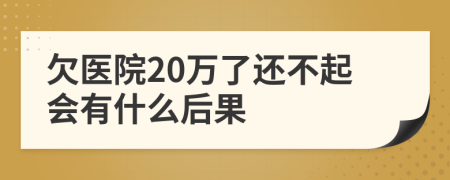 欠医院20万了还不起会有什么后果