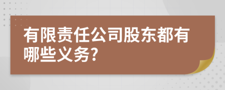 有限责任公司股东都有哪些义务?