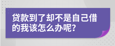 贷款到了却不是自己借的我该怎么办呢？