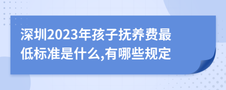 深圳2023年孩子抚养费最低标准是什么,有哪些规定