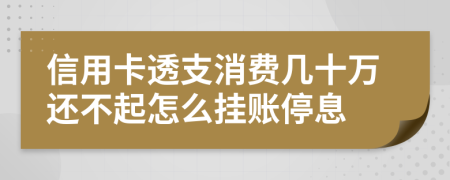 信用卡透支消费几十万还不起怎么挂账停息