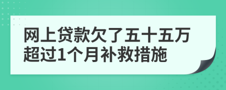 网上贷款欠了五十五万超过1个月补救措施