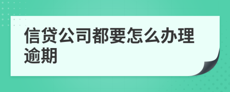 信贷公司都要怎么办理逾期