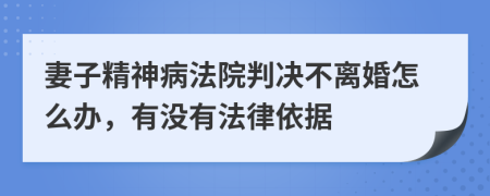 妻子精神病法院判决不离婚怎么办，有没有法律依据