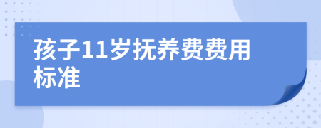 孩子11岁抚养费费用标准