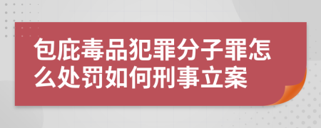 包庇毒品犯罪分子罪怎么处罚如何刑事立案