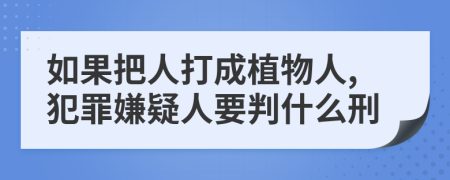 如果把人打成植物人,犯罪嫌疑人要判什么刑