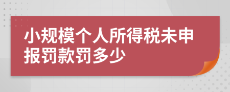 小规模个人所得税未申报罚款罚多少