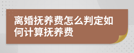 离婚抚养费怎么判定如何计算抚养费