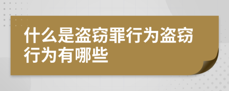什么是盗窃罪行为盗窃行为有哪些